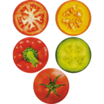 Zakrętka Ø66 Warzywniak 10 sztuk