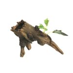 Ozdoba akwariowa korzeń Happet