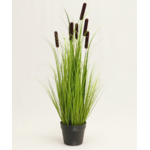 Trawa w doniczce 84 cm