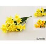 Żonkil bukiet 9 sztuk