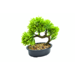 Bonsai w doniczce 23 cm