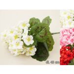 Pelargonia bukiet x 7