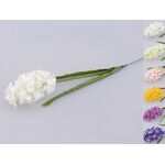 Hiacynt pojedynczy 52 cm