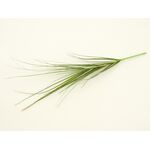 Trawa pojedyncza 50 cm