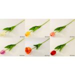 Tulipan pojedynczy 54 cm