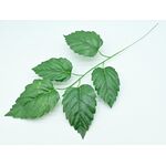 Liść jarzębu gałązka 60 cm