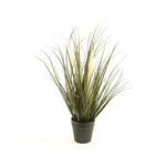 Trawa w doniczce 42 cm