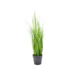 Trawa w doniczce 40 cm