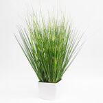 Trawa w doniczce 53 cm