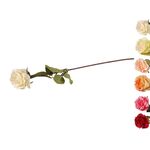 Róża pojedyncza 75 cm