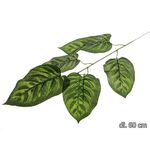 Liść krotonu gałązka 60 cm