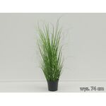Trawa w doniczce 74 cm