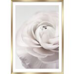 Plakat w ramie 50 x 70 cm FP012