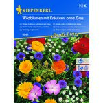 Kwiaty polne z ziołami, bez trawy Wildblumen mit Kräutern, ohne Gras