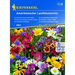 Amerykańskie kwiaty polne Amerikanischer Landblumenmix