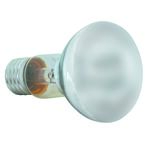 Żarówka reflektorowa R63 60W FROSTED