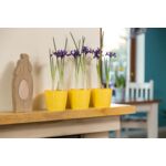 Osłonka-doniczka MAGNOLIA 18 żółty Lamela