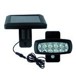 Naświetlacz SMD LED z czujnikiem ruchu WIZARD SOLARO LED 2 W 6500 K HOROZ