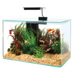 Zestaw akwarystyczny AQUA CLEAR 400 x 200 x 330 mm czarny Zolux