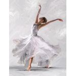 Obraz Canvas 60 x 80 C EX315 DANCER2
