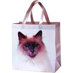 Torba na zakupy 32 x 34 x 17 cm CAT