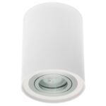 Oprawa sufitowa IVO 1W/AL. tuba biała aluminium OZZO