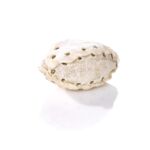 Przysmak dla psa rugby białe 7,5 cm 45 g Maced