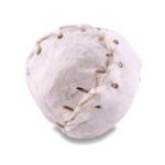 Przysmak dla psa Baseball biały 5 cm 65 g Maced