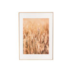 Obraz w ramie ARTBOX DIGI 50 x 70 cm AB079 GRASSES II