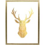 Fotografia "Deer gold" 30 x 40 cm