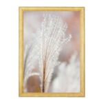 Fotografia w drewnianej ramce wałek 20 x 30 - Pliable grass