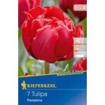 Cebule tulipanów Profi-Line Gefüllte frühe Tulpe Pamplona