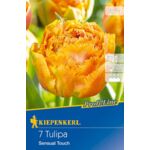 Cebule tulipanów Profi-Line Gefranste Tulpe Sensual Touch