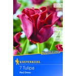 Cebule tulipanów Profi-Line Kronentulpe Red Dress