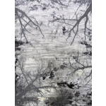 Dywan Zara  9662 80 x 150 cm grey