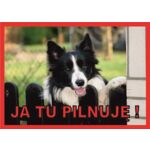 Tabliczka "Ja tu pilnuję" BORDER COLLIE Rokus
