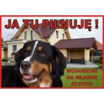 Tabliczka "Ja tu pilnuję" BERNEŃCZYK Rokus