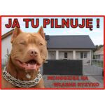 Tabliczka "Ja tu pilnuję" PITBULL Rokus