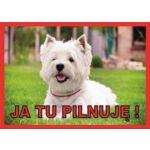 Tabliczka "Ja tu pilnuję" WEST TERRIER Rokus