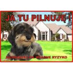 Tabliczka "Ja tu pilnuję" JAMNIK SZORSTKOWŁ. Rokus