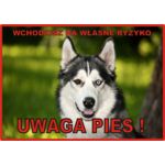 Tabliczka "Uwaga pies" HUSKY Rokus