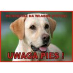 Tabliczka "Uwaga pies" LABRADOR Rokus