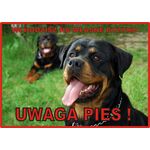 Tabliczka "Uwaga pies" ROTTWEILER Rokus