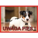 Tabliczka "Uwaga pies" JACK RUSSELL TERRIER Rokus