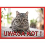 Tabliczka "Uwaga kot" Rokus