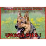 Tabliczka "Uwaga pies" OWCZAREK NIEMIECKI Rokus