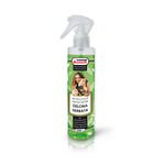 Spray neutralizujący zapachy 250 ml ZIELONA HERBATA
