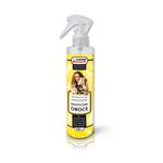 Spray neutralizujący zapachy 250 ml EGZOTYCZNE OWOCE