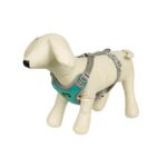 Szelki RUN "M" turkus TREND