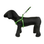 Szelki + smycz KOT,M.PIES 20-36 cm/1,2 m zielone TREND